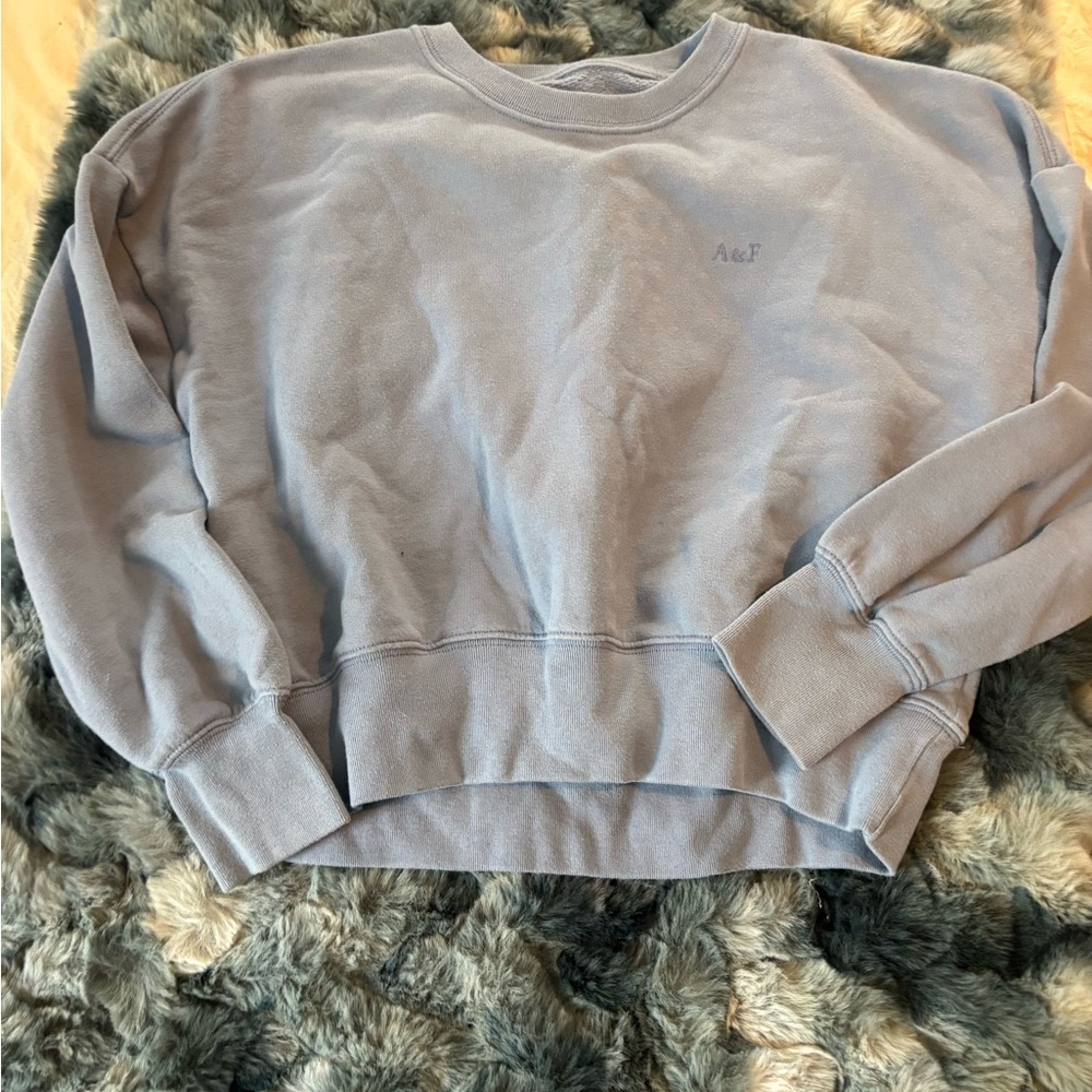 Abercrombie & Fitch Girls Blue Sweatshirt